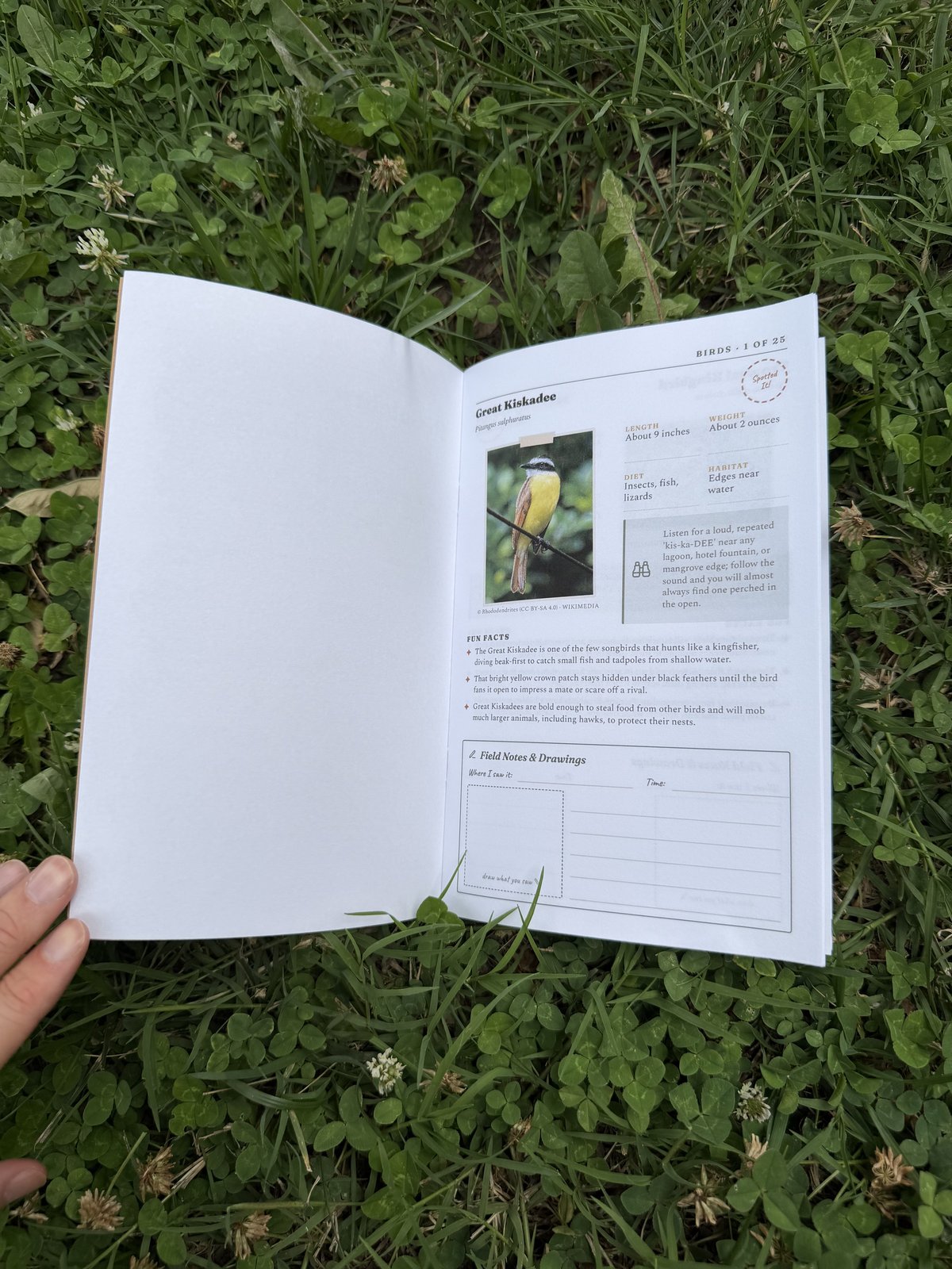 Inside the Spotted! field guide